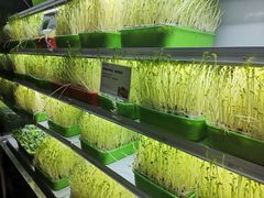 -番食园鲜食火锅(高新店)