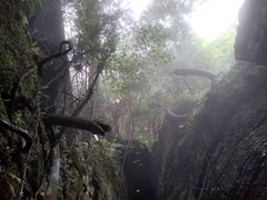 -梦幻奥陶纪景区