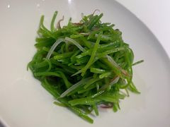 -西郊5号·Maggie 5