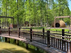 -黄海国家森林公园