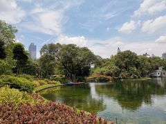 -晓港公园