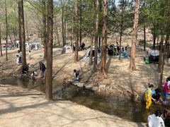 -白水寺森林公园