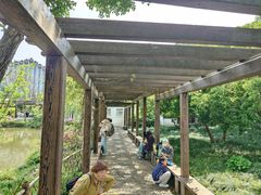 -上海醉白池公园