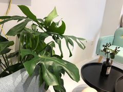 -COTTON CAFE(德信·中外公寓店)