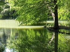 -梁鸿国家湿地公园