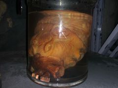 -秃鹫湾·推理大师沉浸式实景演绎推理剧场