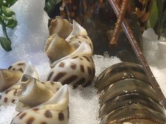 -金满楼(天河中路店)