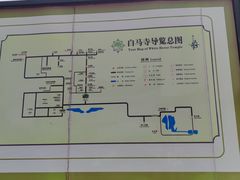 -洛阳白马寺