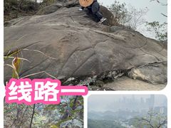 -南山植物园