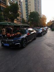 -蚂蚁婚车