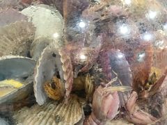 -仙螺岛海鲜自助餐厅(总店)