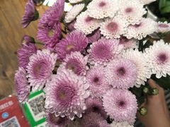 -北京华联合肥长江西路购物中心