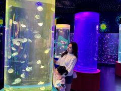 -顺德南宏海立方海洋公园