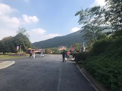 -无锡动物园·太湖欢乐园