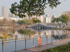 -武汉动物园