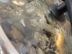 -前王院•巧克力海鲜市集餐厅(万平口店)