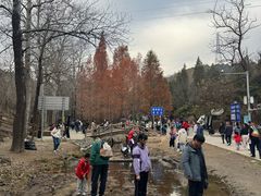 -白水寺森林公园