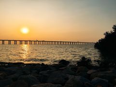 -宝安西湾红树林湿地公园