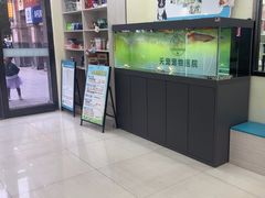 -天宠宠物医院24小时·急重症诊疗中心·全科·腔镜特色(和平分院)