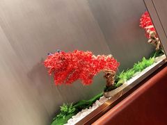 -蝎王府羊蝎子(西直门店)