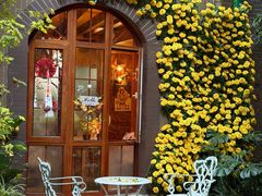 -月亮眼花园餐厅书吧酒吧