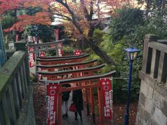 -上野公园花园稻荷神社(忍岡稲荷神社)