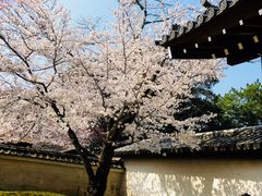 -醍醐寺