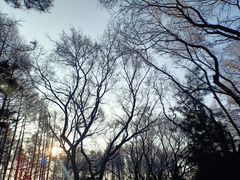 -长春市南湖公园