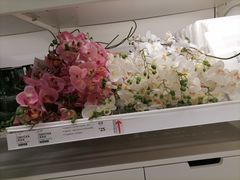 -宜家家居(西安未央商场店)