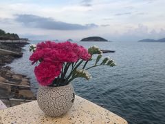 -越海渔村