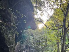 -石台牯牛降景区