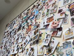 -半岛宠物医院24小时(白果林店)