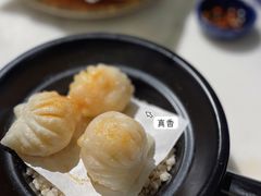 -点都德·毕德寮