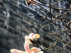 -东华门大街小区