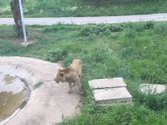 -西安秦岭野生动物园