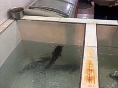 -贡椒鱼老店·雅安十大名店