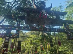 -西双版纳原始森林公园
