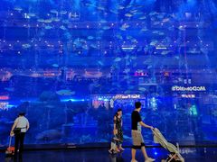 -成都浩海立方海洋公园