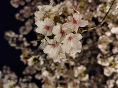 -灸春堂·艾灸·痛症·整脊连锁(之江银泰店)