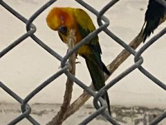 -哈尔滨北方森林动物园