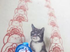 -槟城街头艺术街区