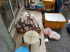 -乌文新澄海卤鹅店