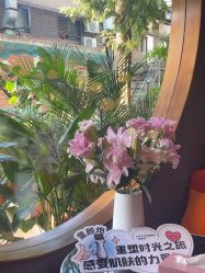 -花隐·美芙炫海菲秀皮肤管理中心