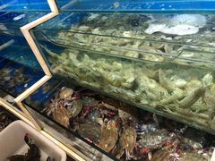 -春华海鲜城(广场西苑店)
