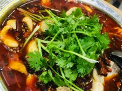 -重庆椒麻鱼·川味江湖菜