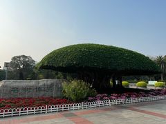 -南宁南湖公园