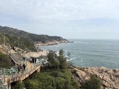 -广东惠东海龟国家级自然保护区