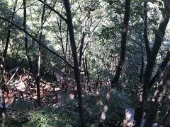 -大岭沟猕猴桃谷风景区