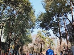 -绵阳人民公园(涪城区)
