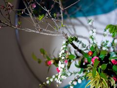 -汉艺唐风茶艺培训(联发华美空间店)